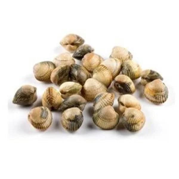 Berberecho (entrega fin de semana) - 1 ud - Imagen del producto en Findit