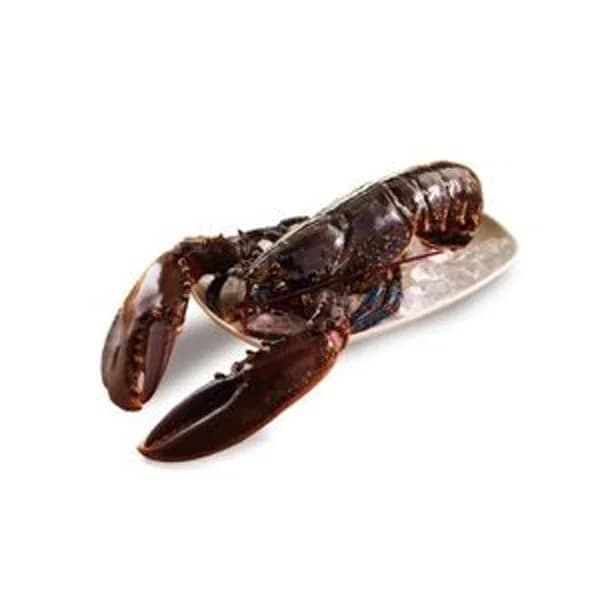 Bogavante 500g (entrega fin de semana) - 1 ud - Imagen del producto en Findit