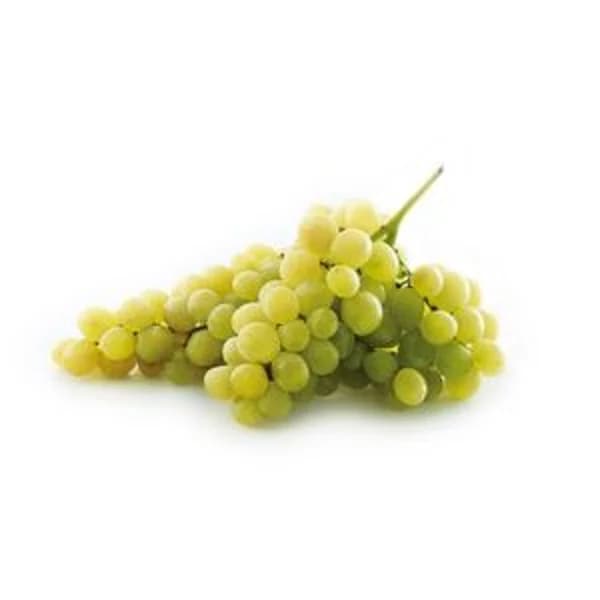 Copa de cava 12 uvas - 1 ud - Imagen del producto en Findit