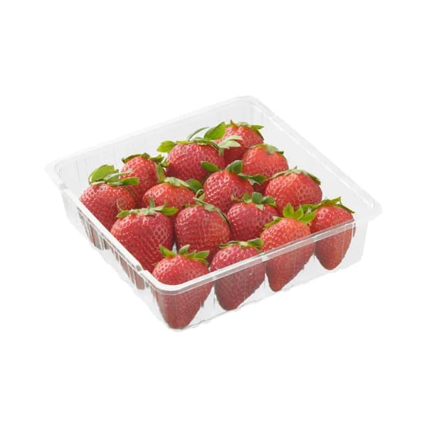 Fresón - 0.44 kg - Imagen del producto en Findit