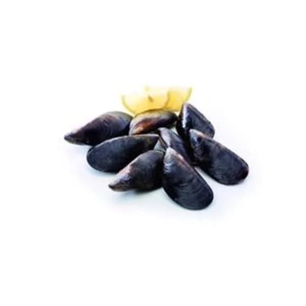 Mejillón Roca (Entrega fin de semana) - 1 kg - Imagen del producto en Findit