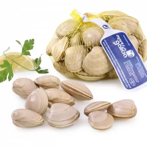 Almeja blanca fresca 500 g - 0.5 kg - Imagen del producto en Findit