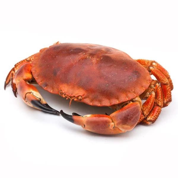 Buey, pieza al peso aprox. 800 g - 1 ud - Imagen del producto en Findit