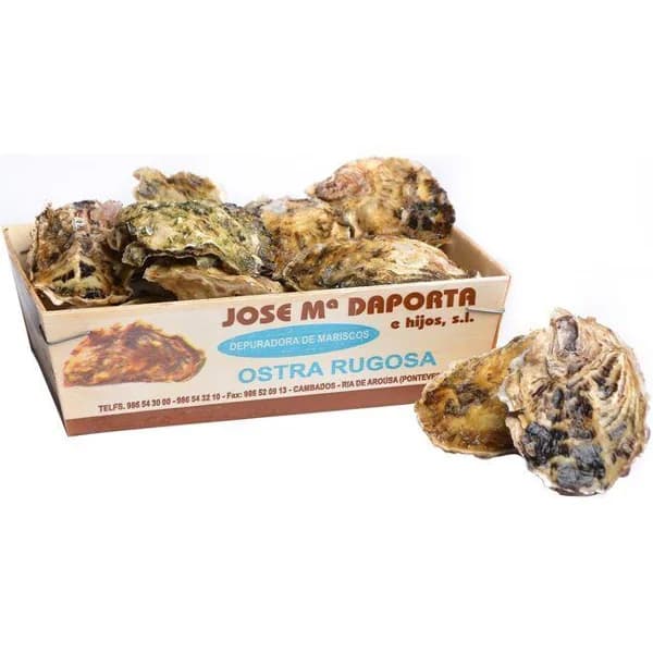 Ostra rugosa, caja 12 piezas - 1 ud - Imagen del producto en Findit