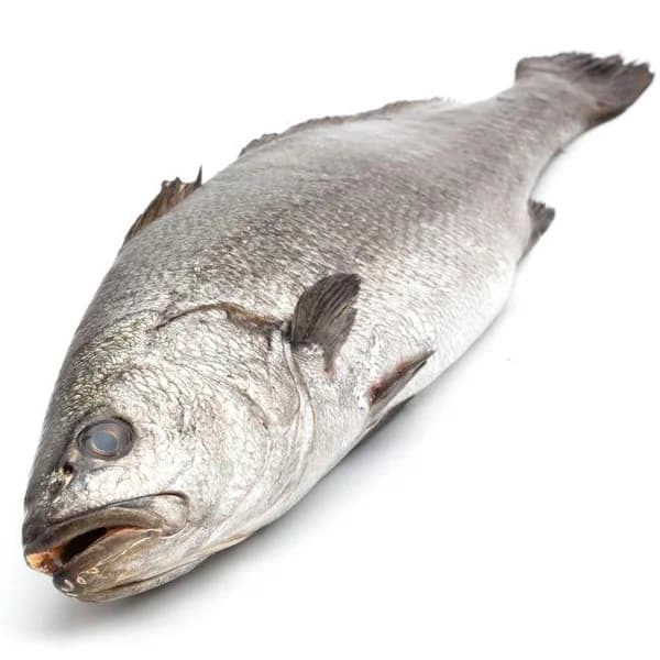 Corvina EROSKI NATUR GGN, pieza al peso aprox. 3 kg - 1 ud - Imagen del producto en Findit