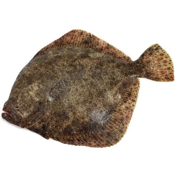 Rodaballo PRODEMAR, pieza al peso aprox. 2.7 kg - 1 ud - Imagen del producto en Findit