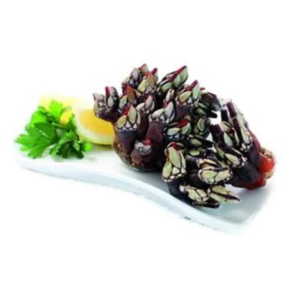 Percebe gallego (entrega fin de semana) - 1 kg - Imagen del producto en Findit