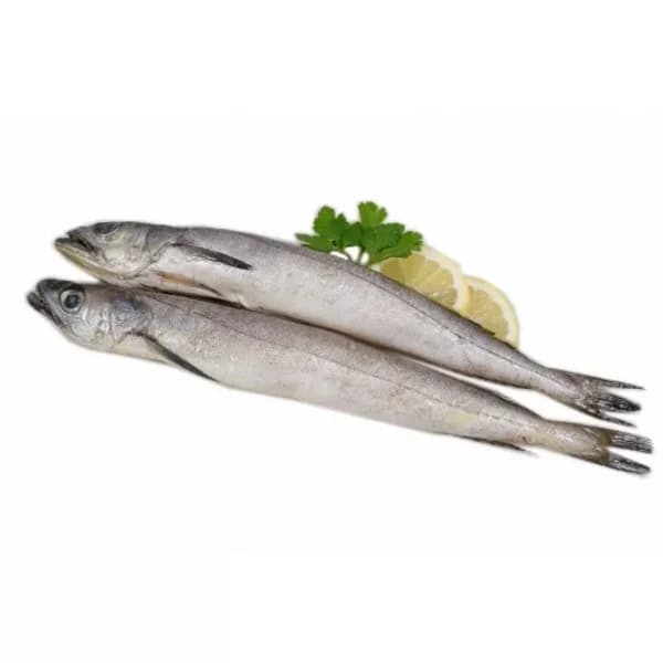 Pescadilla Pijota 1 kg aprox - 1 kg - Imagen del producto en Findit