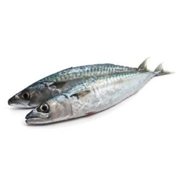 Caballa verdel (400 g aprox) - 1 kg - Imagen del producto en Findit