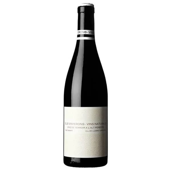 Vino tinto natural D.O. Penedés VINYERONS, botella 75 cl - 0.75 l - Imagen del producto en Findit