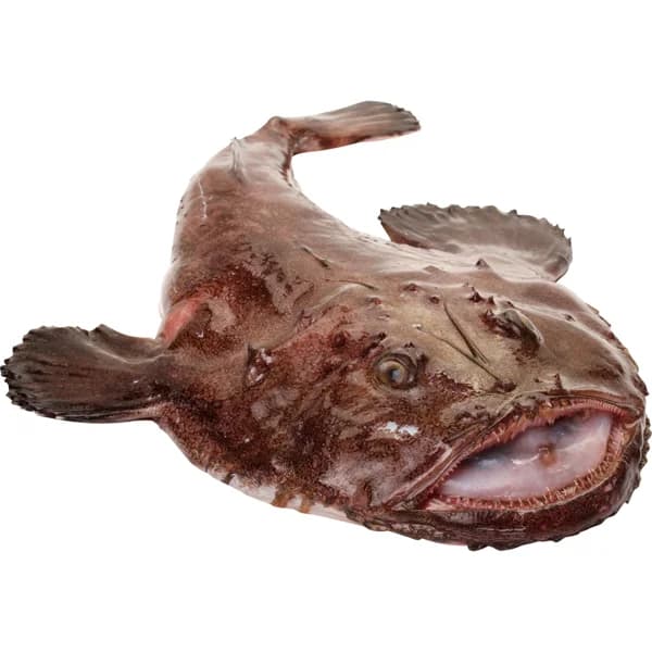 Cola de Rape Pequeña Lonja - 0.8 kg - Imagen del producto en Findit