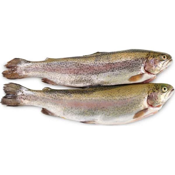 Trucha 500 Gr. aprox. Unidad - 0.5 kg - Imagen del producto en Findit