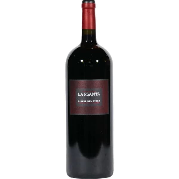 Vino Tinto Magnum D.o. Ribera del Duero - 1.5 l - Imagen del producto en Findit