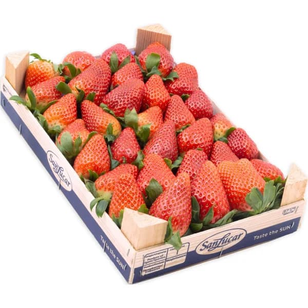 Freson Premium - 0.9 kg - Imagen del producto en Findit