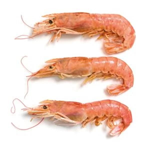 Gambón Granel - 1 kg - Imagen del producto en Findit