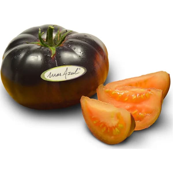 Tomate Mar Azul - 1 ud - Imagen del producto en Findit