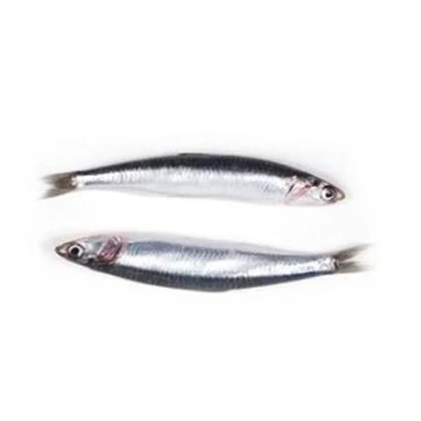 Anchoa del cantábrico - 1 kg - Imagen del producto en Findit