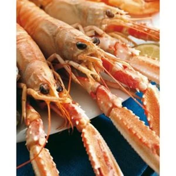Cigala arrocera 50 piezas/kg (Entrega fin semana) - 1 kg - Imagen del producto en Findit