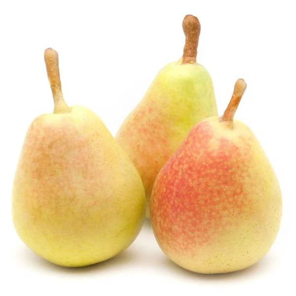 Pera Ercolini, al peso, compra mínima 1 kg - 1 kg - Imagen del producto en Findit