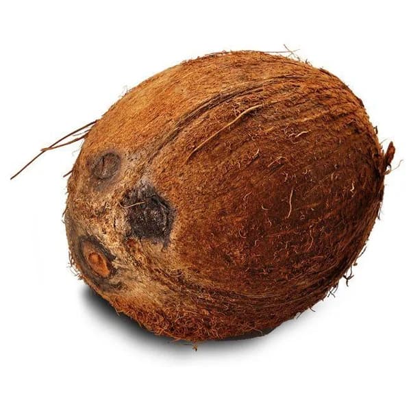 Coco, unidad - 1 ud - Imagen del producto en Findit