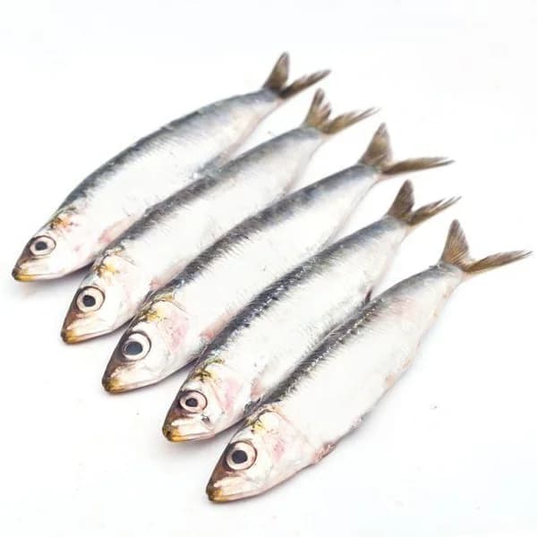 Sardina-Parrocha, al peso, compra mínima 500 g - 0.5 kg - Imagen del producto en Findit