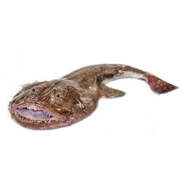 Rape negro del País Vasco, pieza al peso aprox. 1.6 kg - 1.6 kg - Imagen del producto en Findit