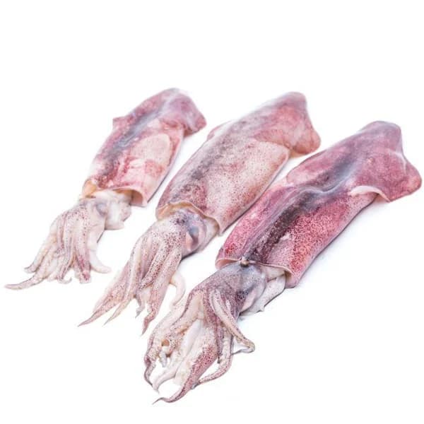 Calamar mediano descongelado, al peso, compra mínima 500 g - 0.5 kg - Imagen del producto en Findit