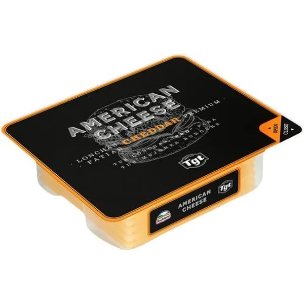 Queso lonchas fundidas American Burguer HOCHLAND, tarrina 150 g - 0.15 kg - Imagen del producto en Findit