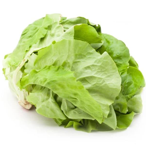 Lechuga Mantecosa EUSKAL BASERRI, unidad - 1 ud - Imagen del producto en Findit
