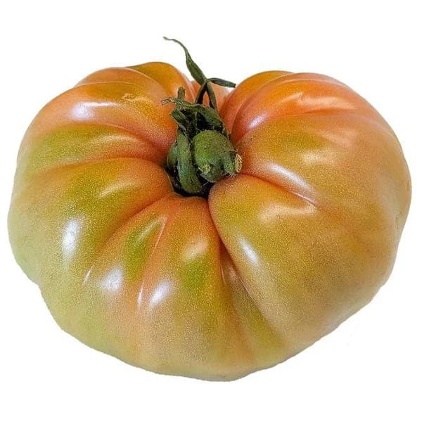 Tomate gigante Antares, al peso, compra mínima 500 g - 0.5 kg - Imagen del producto en Findit