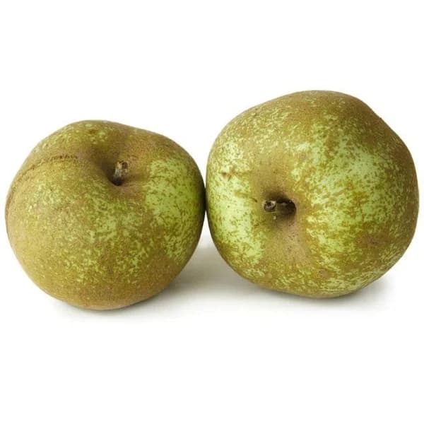 Manzana Reineta Verde Selección, al peso, compra mínima 1 kg - 1 ud - Imagen del producto en Findit