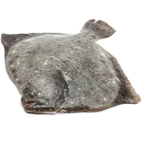 Rodaballo 1-2 kg PRODEMAR, pieza al peso aprox. 1.8 kg - 1.8 kg - Imagen del producto en Findit