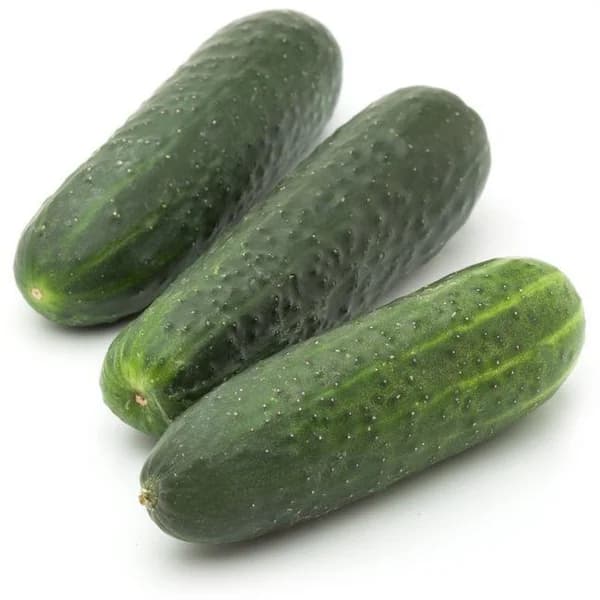 Pepino negro, al peso, compra mínima 500 g - 0.5 kg - Imagen del producto en Findit