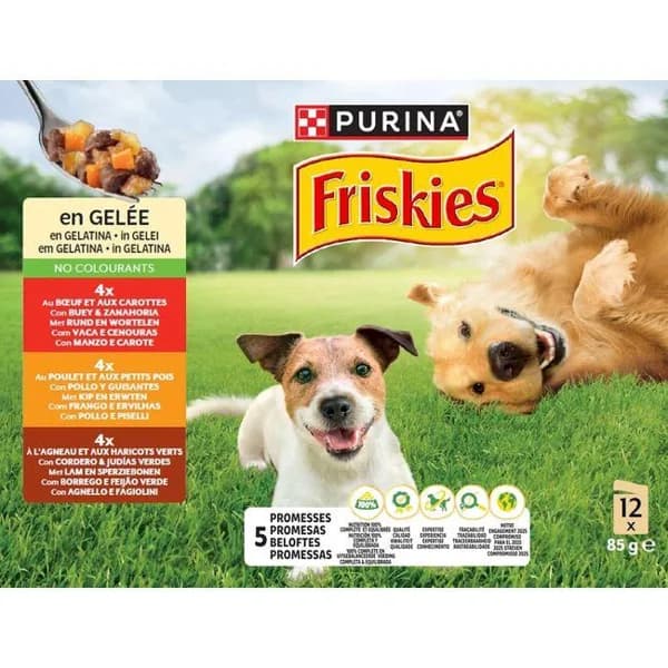 Bocaditos variados en gelatina para perro FRISKIES, caja 1.020 g - 1 ud - Imagen del producto en Findit