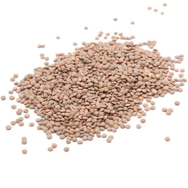 Lenteja pardina, al peso, compra mínima 500 g - 0.5 kg - Imagen del producto en Findit