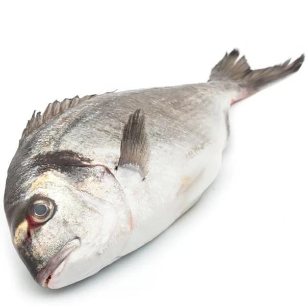 Dorada de crianza EROSKI NATUR GGN, pieza aprox. 500 g - 0.5 kg - Imagen del producto en Findit