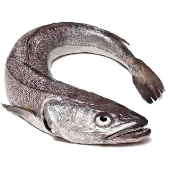 Merluza grande, pieza al peso aprox. 2.5 kg - 2.5 kg - Imagen del producto en Findit