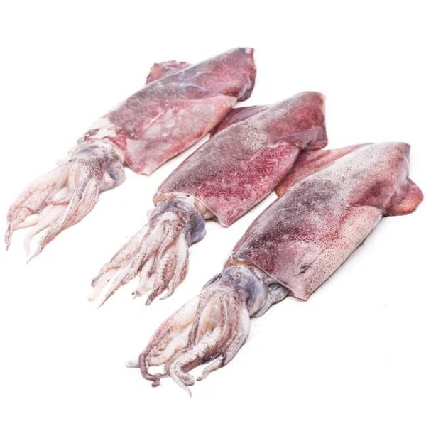 Calamar elaborado entero 200-600, al peso, compra mínima 600 g - 0.6 kg - Imagen del producto en Findit