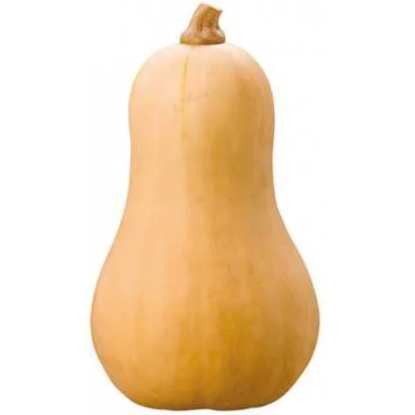 Calabaza cacahuete, pieza al peso aprox. 1 kg - 1 kg - Imagen del producto en Findit