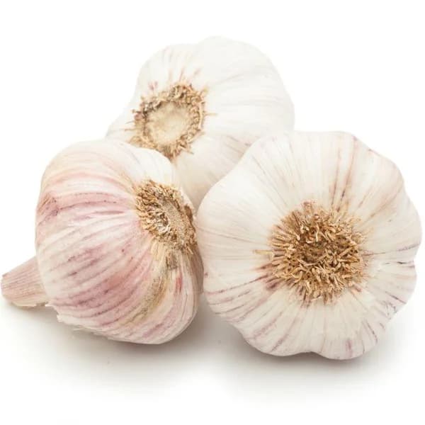 Ajo blanco GOLD, al peso, compra mínima 500 g - 0.5 kg - Imagen del producto en Findit