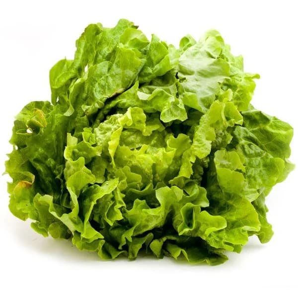 Lechuga Batavia del País Vasco, unidad - 1 ud - Imagen del producto en Findit