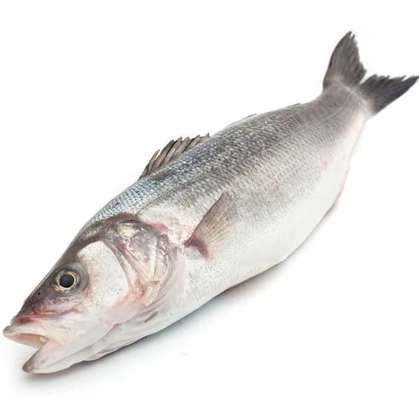 Lubina, pieza aprox. 350 g - 0.35 kg - Imagen del producto en Findit