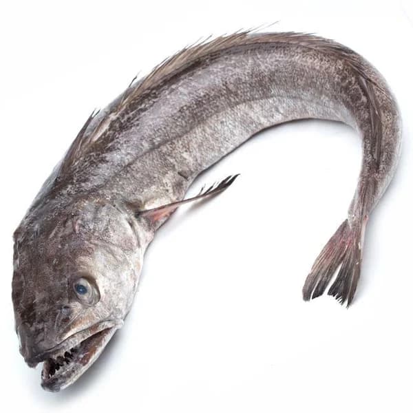 Merluza entera (1-2 kg), pieza al peso aprox. 1.5 kg - 1.5 kg - Imagen del producto en Findit