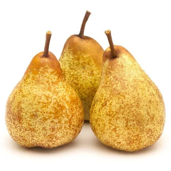 Pera Rocha, al peso, compra mínima 1 kg - 1 ud - Imagen del producto en Findit