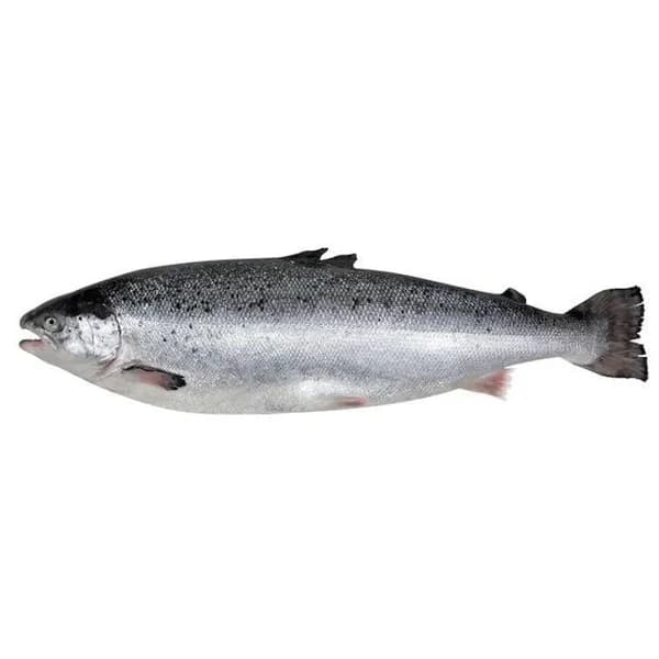 Salmón por medios o enteros, pieza al peso aprox. 4 kg - 4 kg - Imagen del producto en Findit