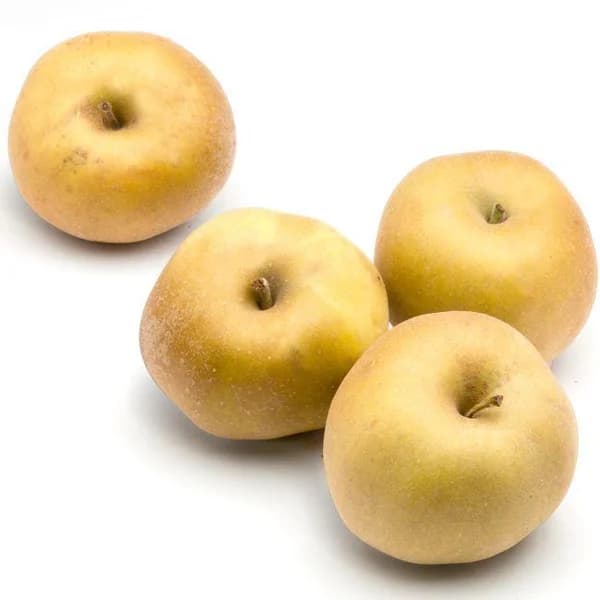 Manzana Reineta Gris, al peso, compra mínima 1 kg - 1 kg - Imagen del producto en Findit