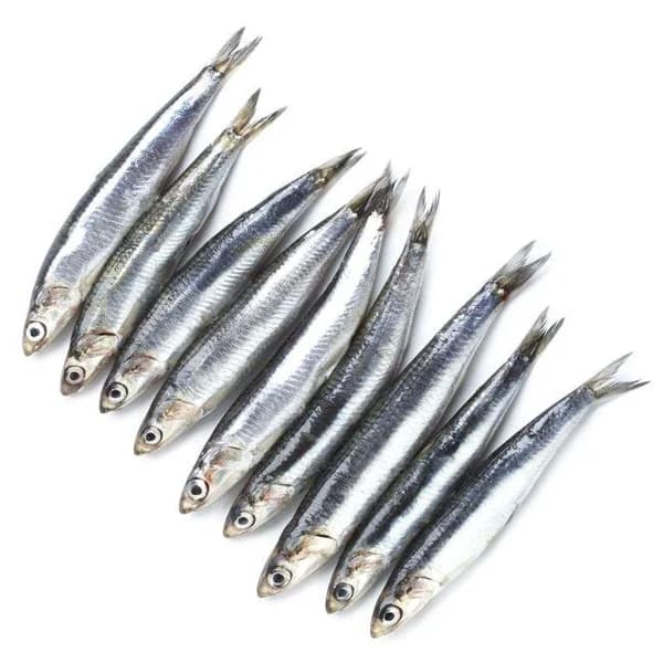 Anchoa Cantábrico E. NATUR MSC E. LABEL, al peso, compra mínima 500 g - 1 ud - Imagen del producto en Findit