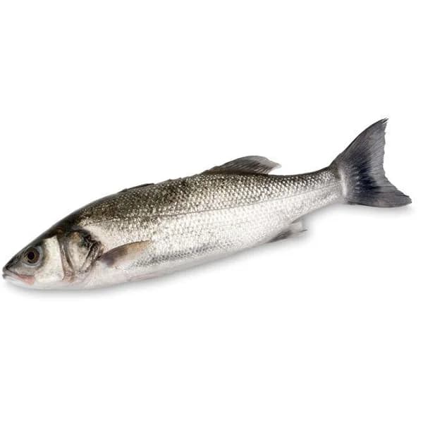 Lubina grande, pieza al peso aprox. 1 kg - 1 kg - Imagen del producto en Findit