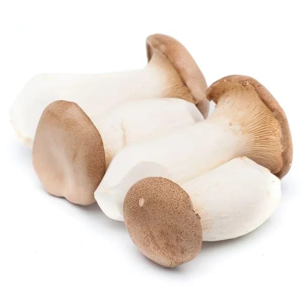 Seta cardo, al peso, compra mínima 500 g - 1 ud - Imagen del producto en Findit
