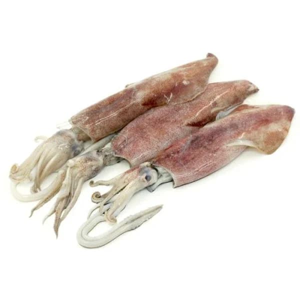 Txipirón del País Vasco (30-250), al peso, compra mínima 500 g - 1 ud - Imagen del producto en Findit